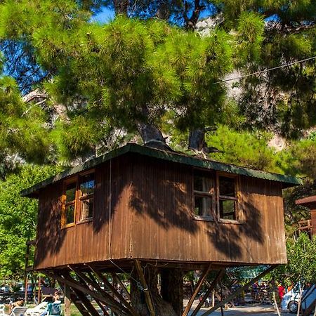 Gorge Club Hotell Saklikent Rum bild