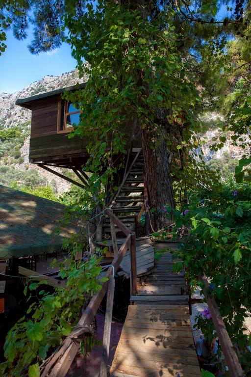 Gorge Club Hotell Saklikent Rum bild