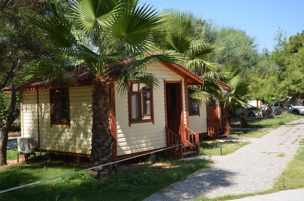 Gorge Club Hotell Saklikent Rum bild