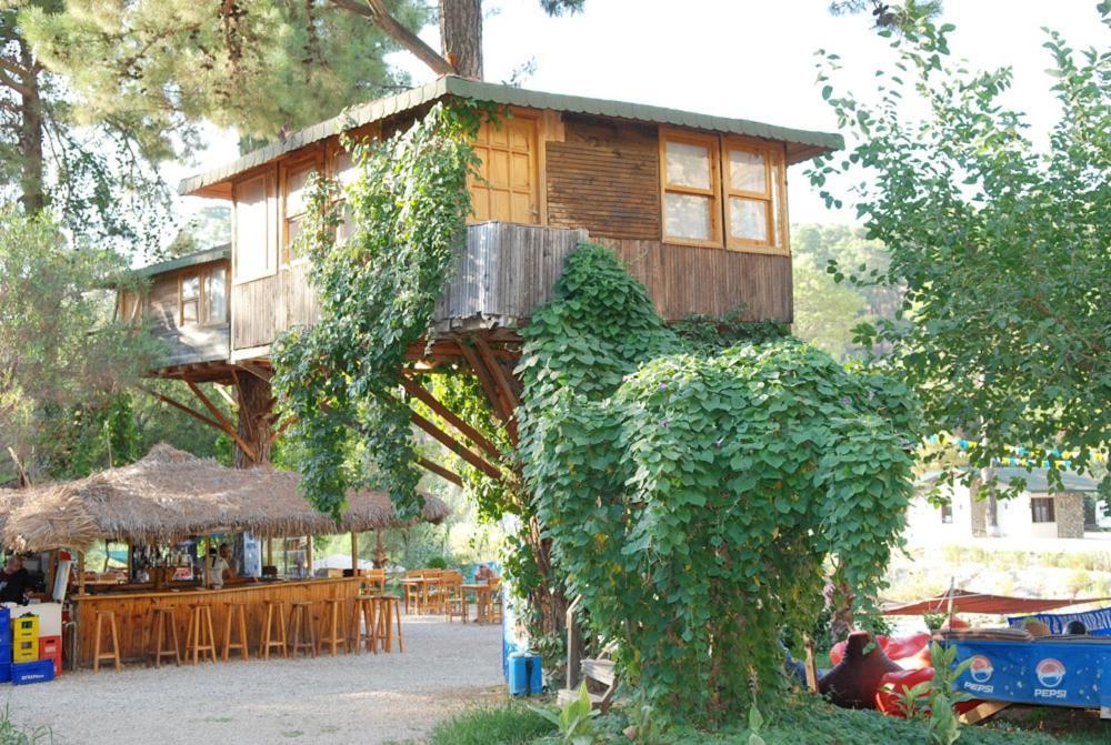 Gorge Club Hotell Saklikent Rum bild